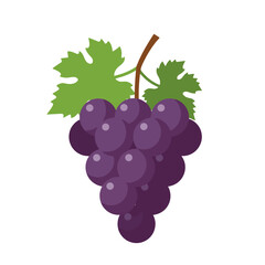 Fototapeta premium Purple Grapes Icon: Fresh, Fruity Vector Illustration