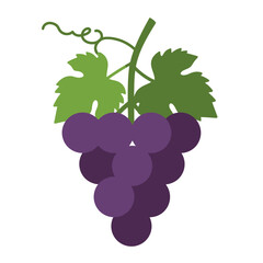 Stylized Grape Cluster with Leaves Illustration