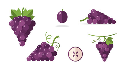 Purple Grape Collection: Flat Vector Illustration