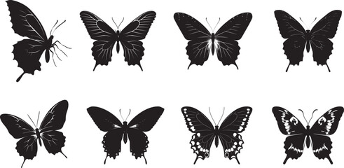 Fototapeta premium A black and white illustration of a butterfly against a white background.