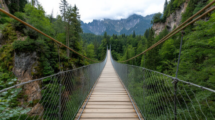 Obraz premium Suspension footbridge over deep gorge surrounded by lush greenery and mountains
