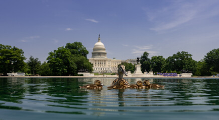Naklejka na ściany i meble U.S. Capitol. Washington DC skyline featuring the Capitol. Senate and House USA building. USA government seat in District of Columbia. Capitol Reflecting Pool in Washington, DC.