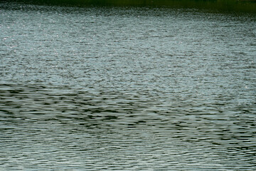 風でさざなみが立ったキラキラ光る水面の背景用素材