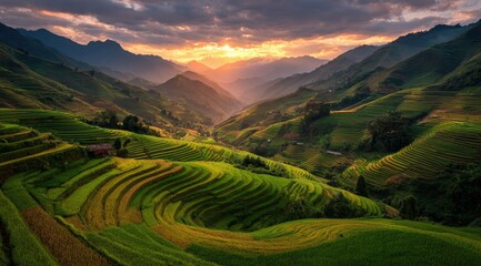 A breathtaking sunset illuminates verdant rice terraces cascading down mountain slopes, creating a picturesque landscape of vibrant greens and golden hues