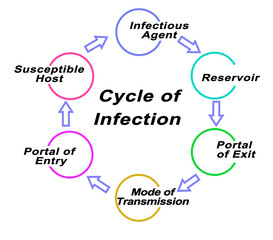 Steps in Cycle of Infection