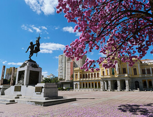 Ipê rosa na Praça da Estação em Belo Horizonte © MarceloAlves