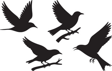 Obraz premium Flying and Perching Bird Silhouette Set Crow and Sparrow Vector Silhouettes Bundle Black Bird Clipart Collection – Flying & Branch Poses