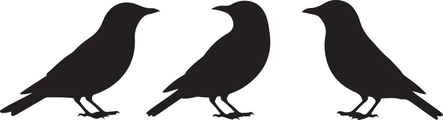 Flying and Perching Bird Silhouette Set
Crow and Sparrow Vector Silhouettes Bundle
Black Bird Clipart Collection – Flying & Branch Poses