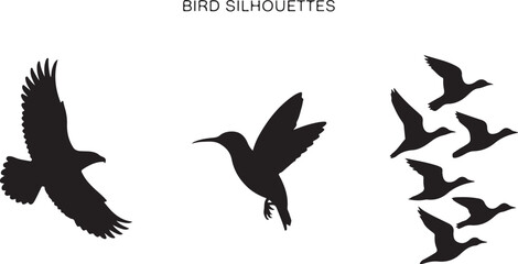 Flying and Perching Bird Silhouette Set
Crow and Sparrow Vector Silhouettes Bundle
Black Bird Clipart Collection – Flying & Branch Poses