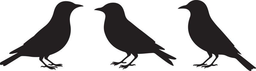 Flying and Perching Bird Silhouette Set
Crow and Sparrow Vector Silhouettes Bundle
Black Bird Clipart Collection – Flying & Branch Poses