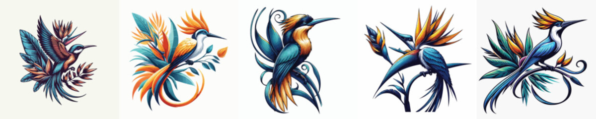 vector image of a bird of paradise on a white background