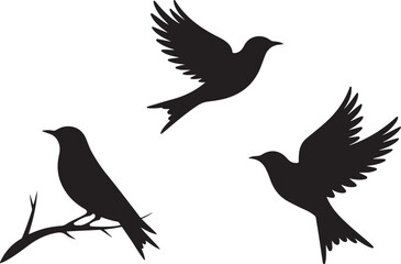 Flying and Perching Bird Silhouette Set
Crow and Sparrow Vector Silhouettes Bundle
Black Bird Clipart Collection – Flying & Branch Poses