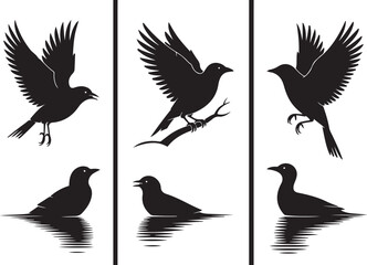 Flying and Perching Bird Silhouette Set
Crow and Sparrow Vector Silhouettes Bundle
Black Bird Clipart Collection – Flying & Branch Poses