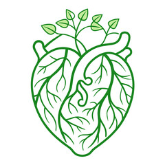 Intricate line art of a human heart formed from twisting vegetable vines isolated on white background