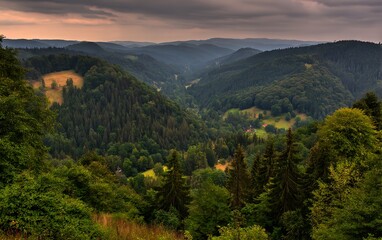 Obraz premium Rolling hills dense forest aerial view