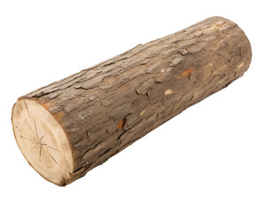 Fototapeta premium One dry log against a transparent background. design illustration