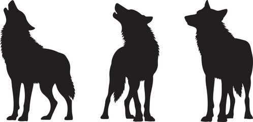 "Lone Howl: The Power of a Wolf Silhouette"
"Wild Spirit: Wolf in Shadow"
"Moonlit Predator: Silhouette of the Wild Wolf"