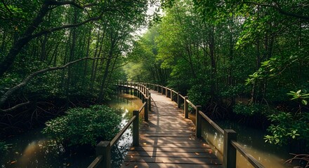 Obraz premium Wooden boardwalk meanders through lush green mangrove forest, sunlight dappling the path.
