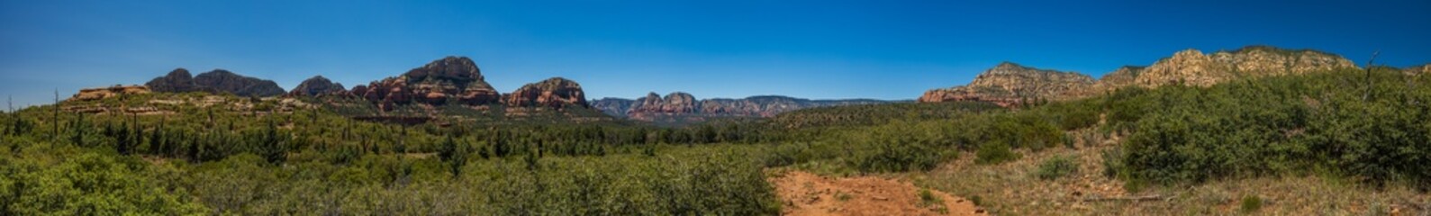 Desert landscape with green plants and distant mesa