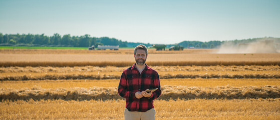 Autumn Farming season. Farmer with harvest on wheat field. Farmer inspecting the harvest. Wheat...