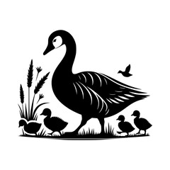 Obraz premium Silhouette of a canada goose and ducklings in a grassy field