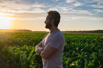 A farmer inspects the cornfield on sunset. The male farmer works outdoors in the field....