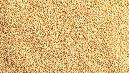 Fototapeta premium Amaranth seed ,grain abstract textured background.