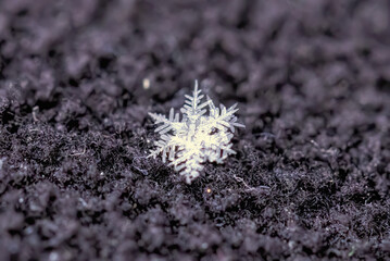 natural snowflakes on black background
