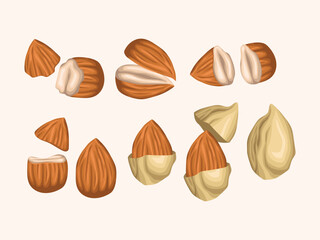 almond vector peanut illustration vegetarian oil seasonal cartoon element organic vegan diet health