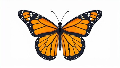 Fototapeta premium Exquisite monarch butterfly illustration with detailed orange and black wings. Wildlife art of a beautiful insect isolated on a white background.