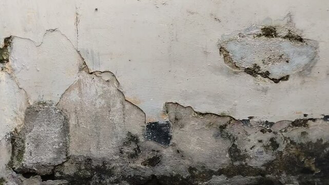 wall paint that is peeling because the wall is damp