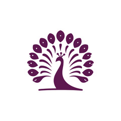 Elegant peacock logo