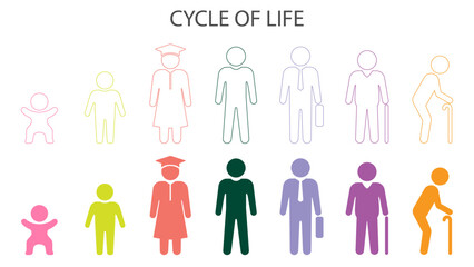 Cycle of life infographic