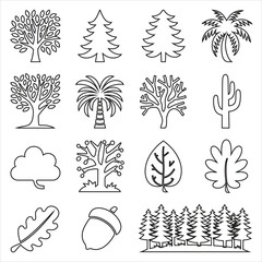 Obraz premium Various Trees Leaves and Acorn Illustrations leaf palm tree