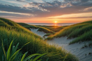 Lush Greenery and Sunset Over North Sea Dunes: A Calming Coastal Landscape