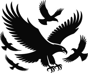 Fototapeta premium Black Eagle Silhouette with Smaller Birds in Flight