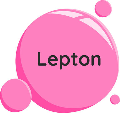 lepton