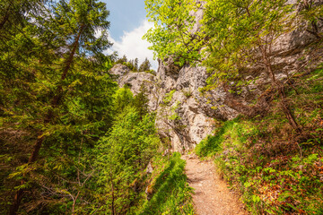 Obraz premium Hiking in Canyon in Prosiecka Valley near Kvacianska valley in Liptov region in northern Slovakia