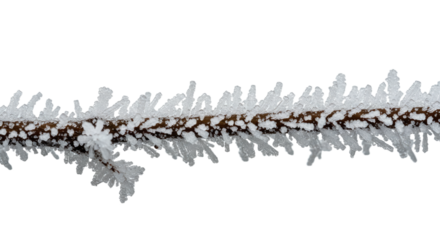 Frozen Branch with Ice Crystals 2.