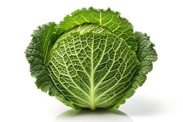 Fresh Napa Cabbage isolated on white background .Crisp Texture, Nutrient-Rich Cabbage  illustration on white
