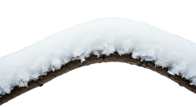 Snow Covered Branch Isolated on White 2.