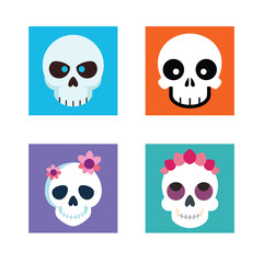 Fototapeta premium Skulls with Flowers