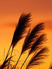 Silhouetted grasses against vibrant sunset nature scene tranquil environment captivating viewpoint