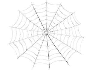 Fototapeta premium Intricate spider web pattern isolated on a transparent background arachnid insect