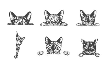 Bengal Cat Peeking Svg, Bengal Cat Peeking Vector, Bengal Cat Peeking Clipart, Bengal Cat Peeking Silhouette, Bengal Cat Peeking Illustration. 