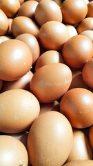 Close-up of Fresh Brown Chicken Eggs