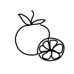 Orange Fruit One Line Art Illustration for Healthy Food, Nutrition, and Organic Design Projects