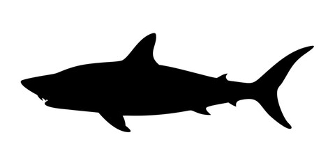 Shark Silhouette Vector – Bold Black Marine Predator Graphic