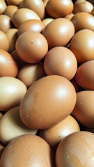 Fresh Brown Chicken Eggs in Natural Light Close-Up