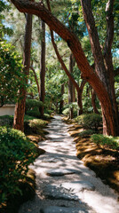 Obraz premium Natural zen elements collection for peaceful wellness applications